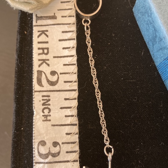 Spider on a Leash - Picture 2 of 8